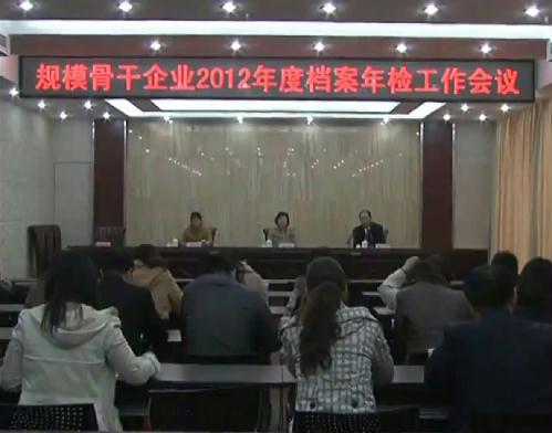 大豐市召開(kāi)規(guī)模骨干企業(yè)2012年度檔案年檢工作會(huì)議