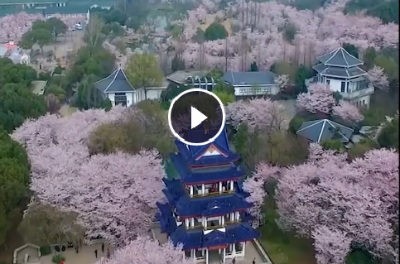 無錫市：風(fēng)勁揚帆正當時
